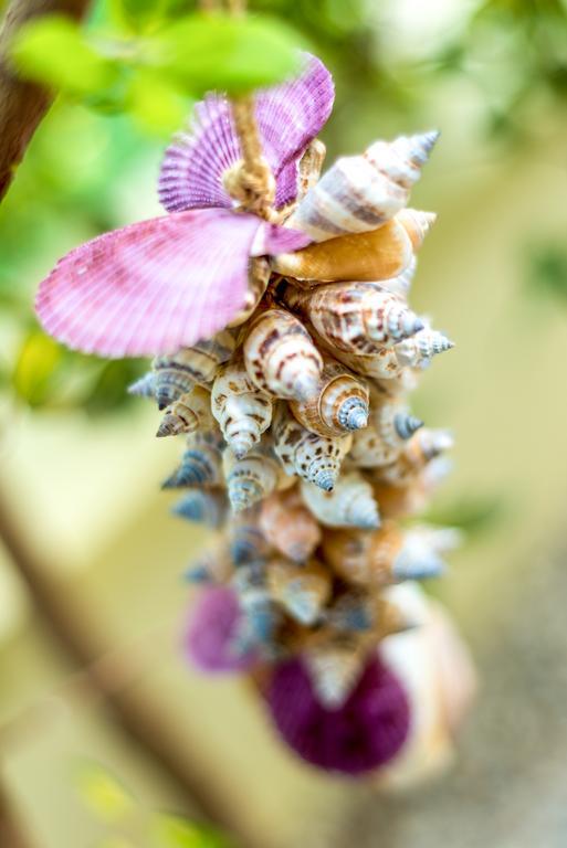 Chryssi Myhome Kato Daratso Dış mekan fotoğraf